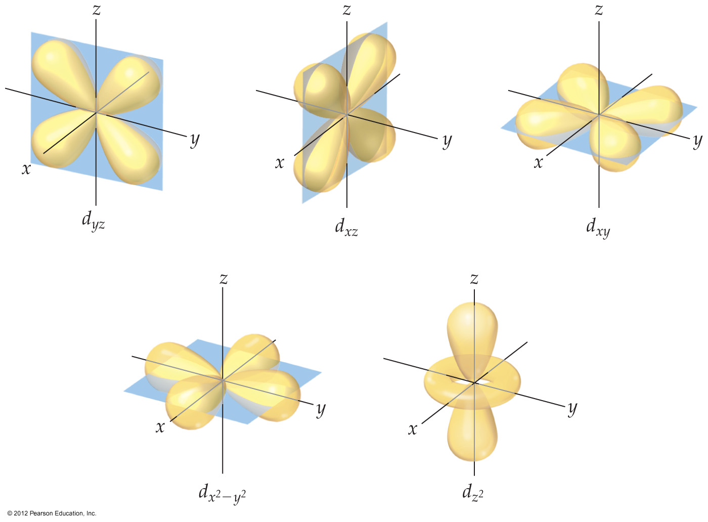 D orbitals